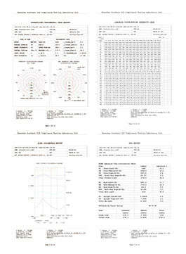 STREETLIGHT PHOTOMETRIC TEST REPORT