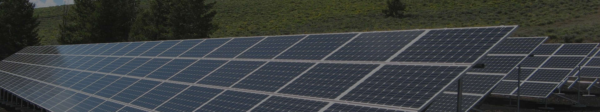 320 Watt Solar Panel