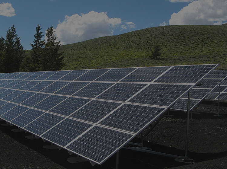 320 Watt Solar Panel