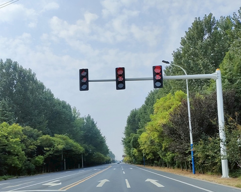 DC 12V/24V Traffic Signal Light images