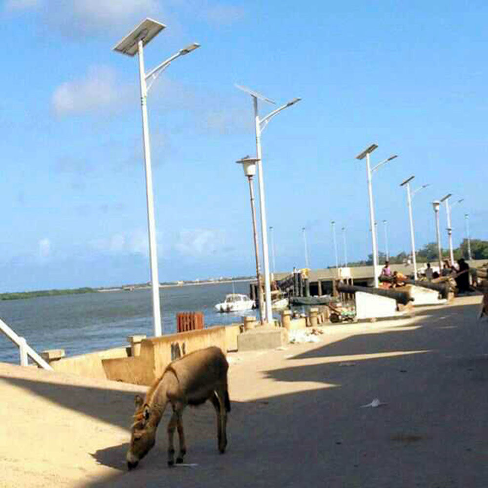 42W Solar street Light in Kenya